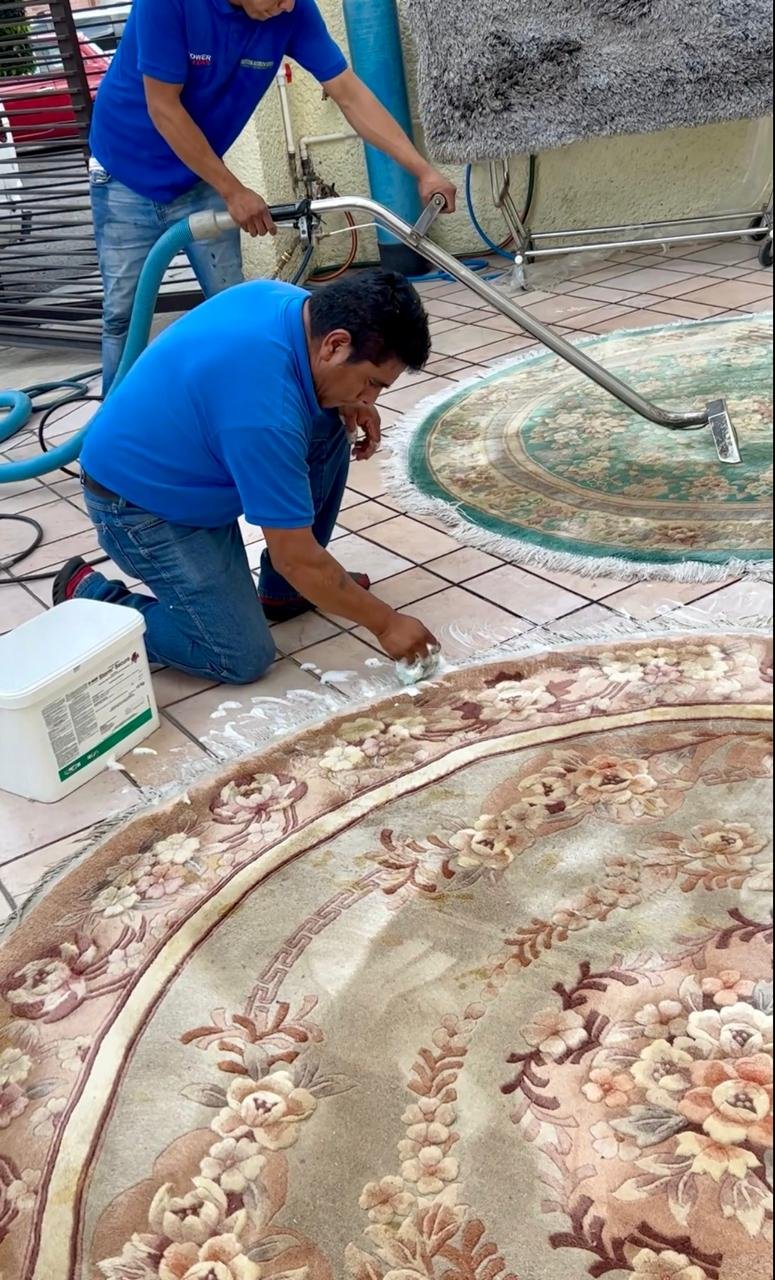 Técnico de Power Clean restaurando una alfombra oriental